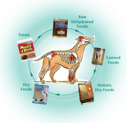 Variety_Feeding_Rotational_Diet