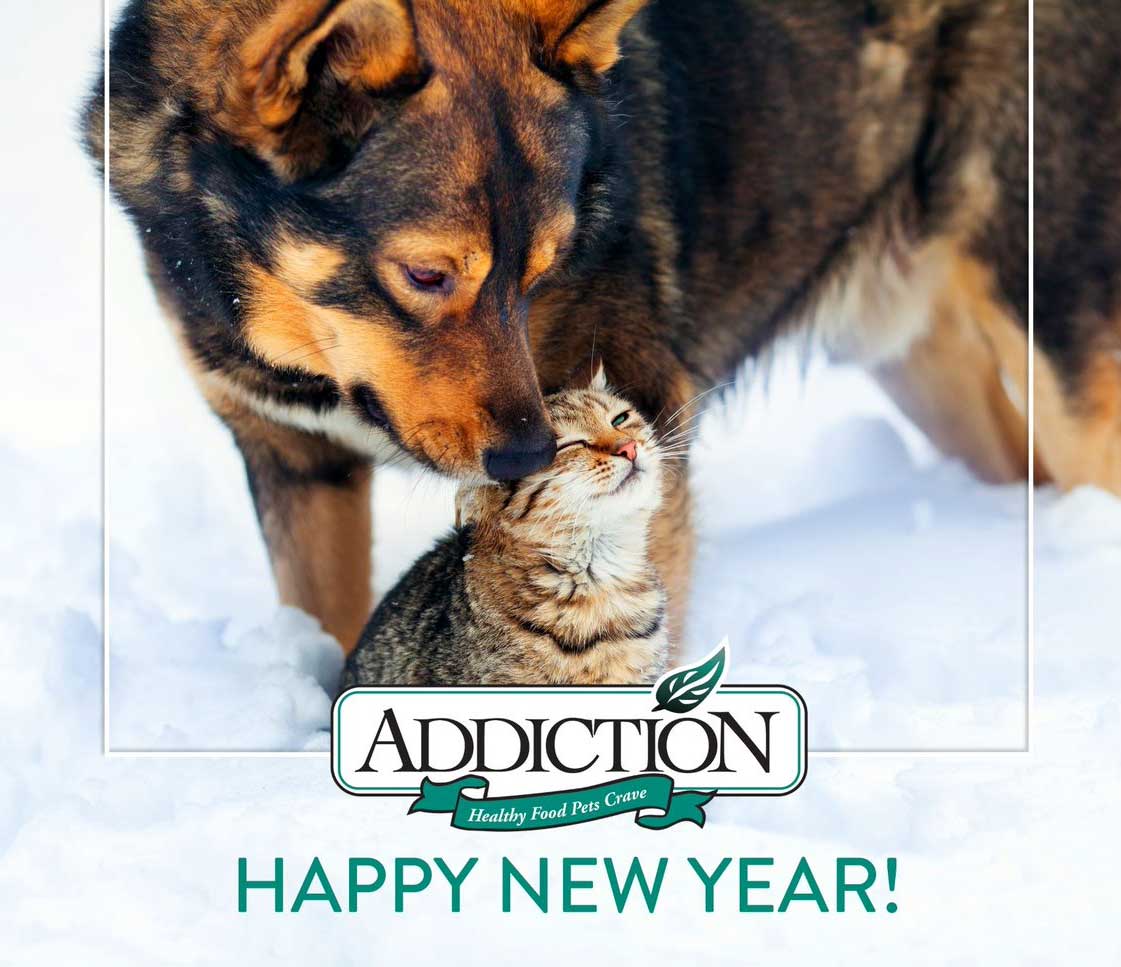 hny-addiction