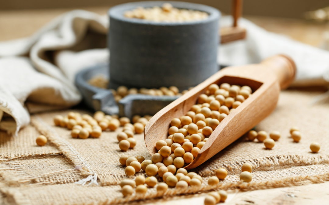 The Role of Isoflavones in Your Dog’s Diet