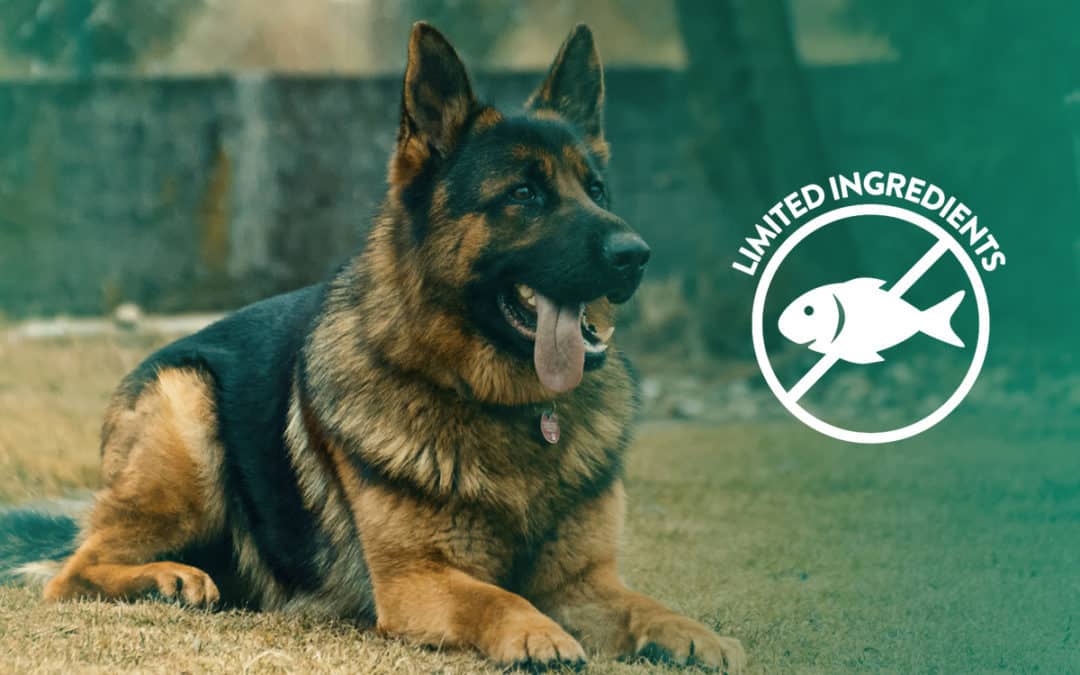 Limited ingredient: how it works for your pets’ sensitivities