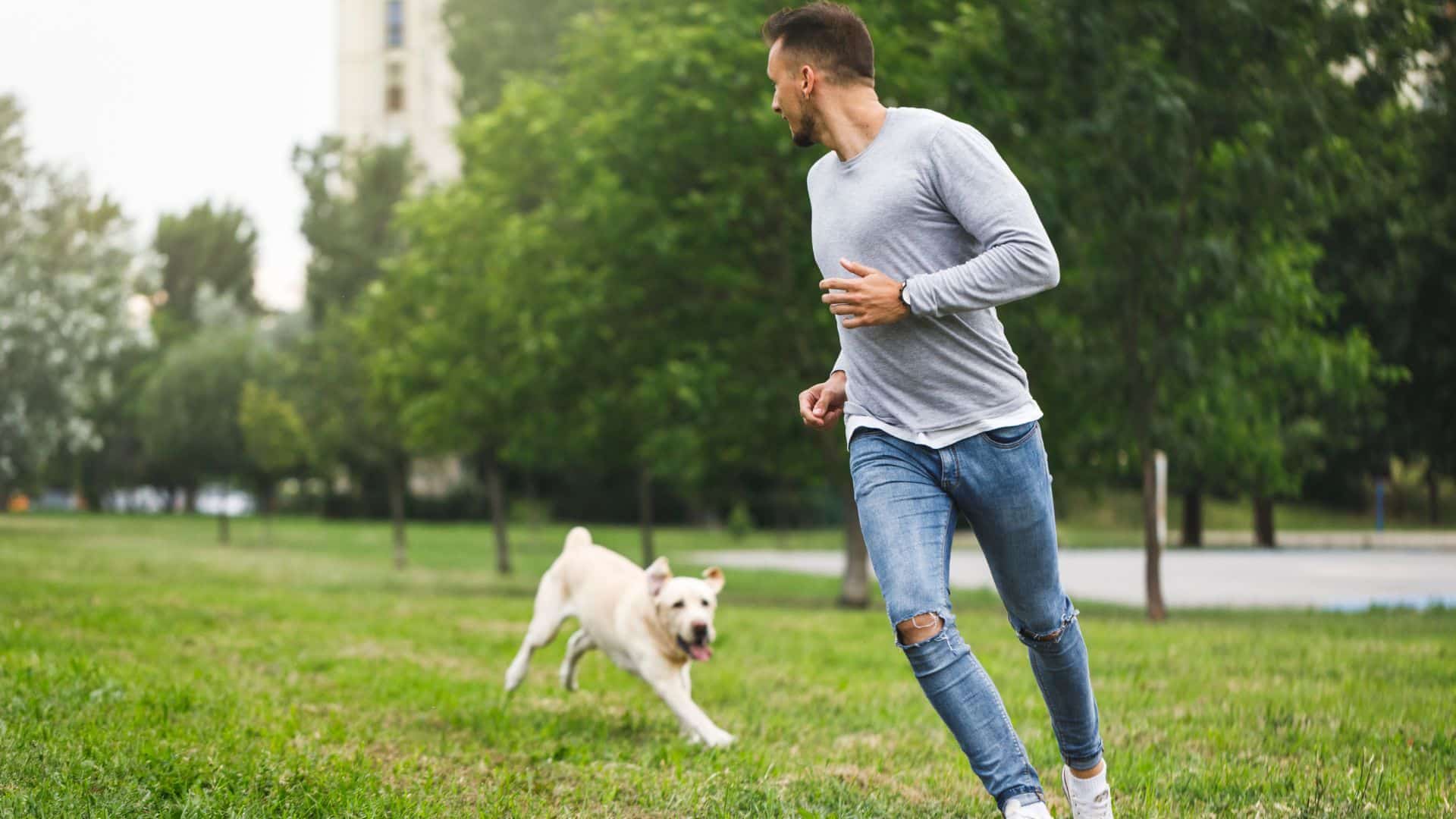 man playing with dog