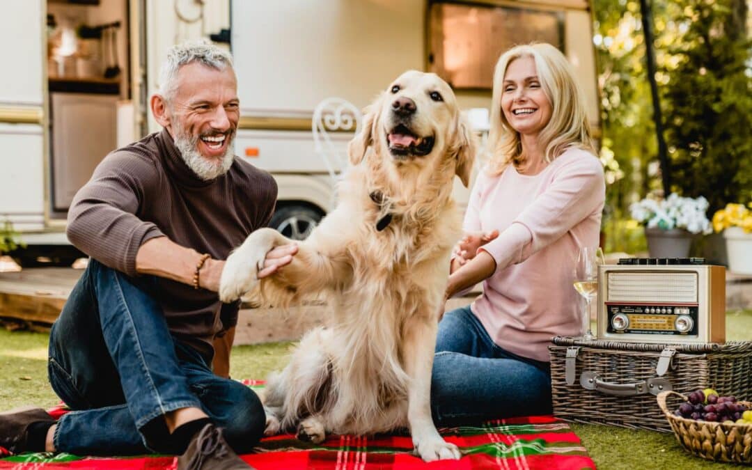 Essential Tips for Caring for Senior Large Dogs in 2024