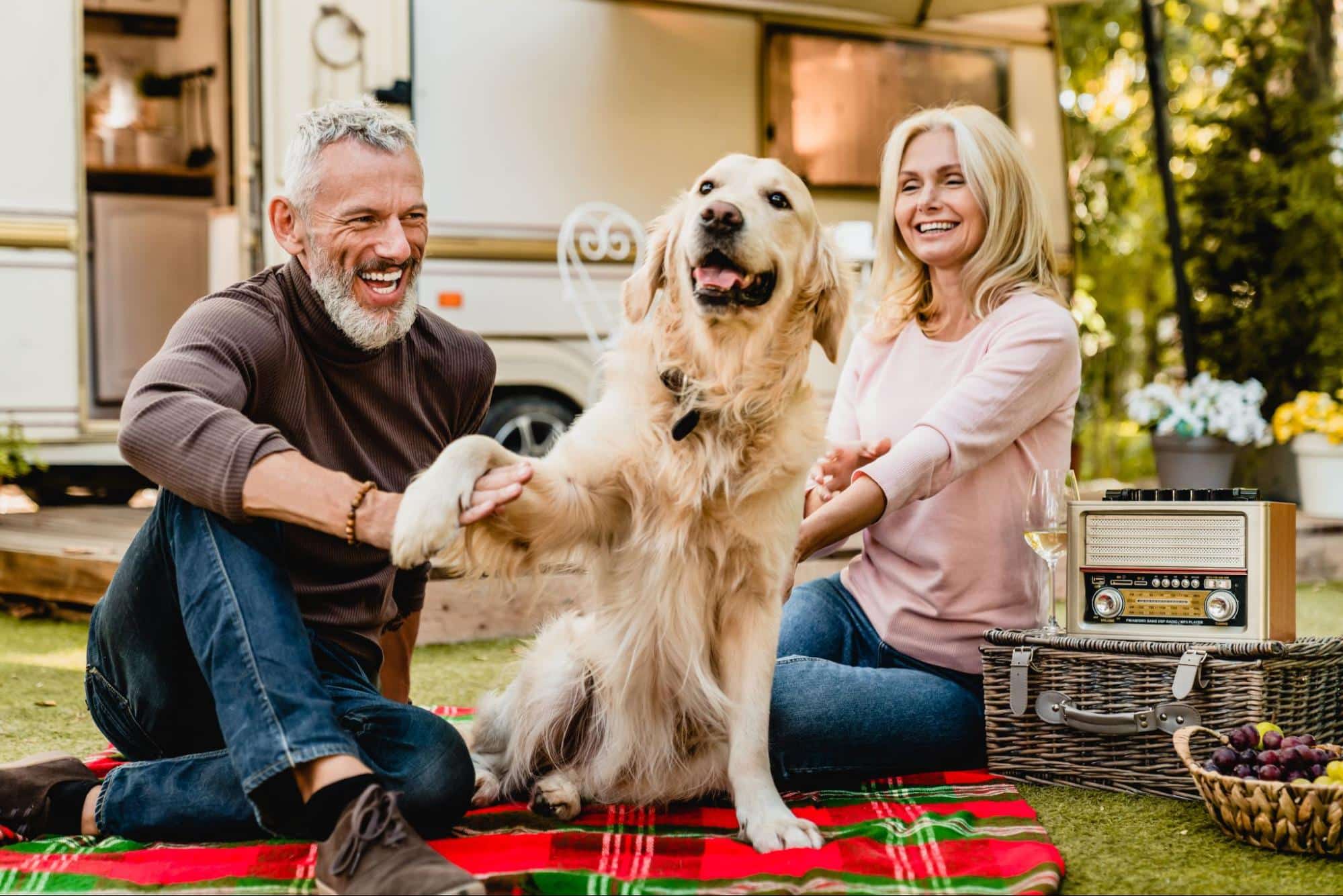 Essential Tips for Caring for Senior Large Dogs in 2024