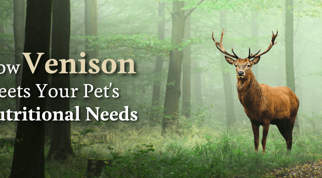 How Venison meets your Pet’s Nutritional Needs