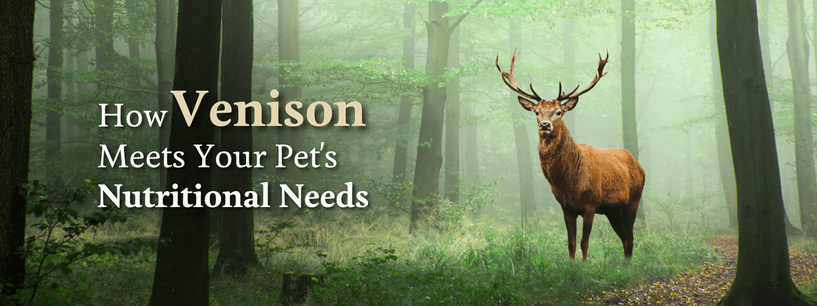 How Venison Meets Your Pets Nutritional Needs 1