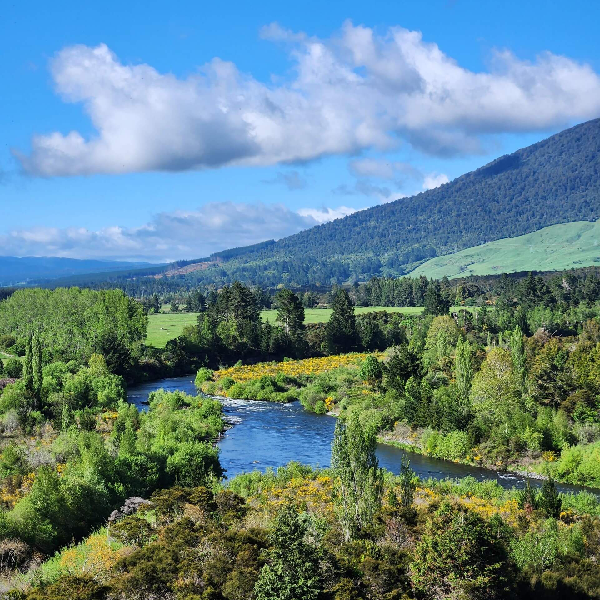 tongariro river trail turangi