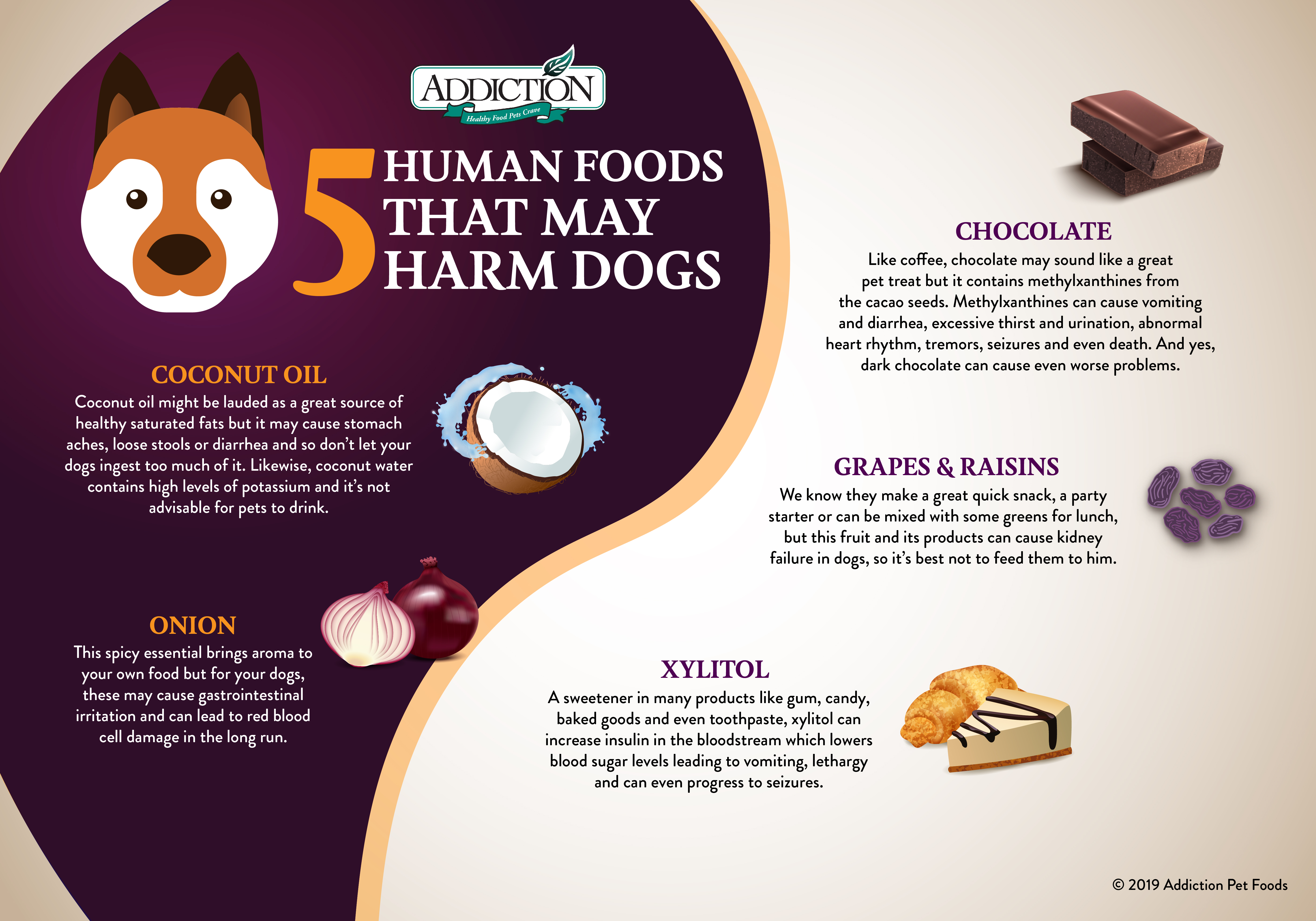 Human-Foods-Toxic-to-Dogs-Edit