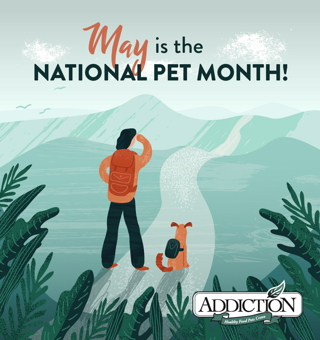 AF-National-Pet-Month