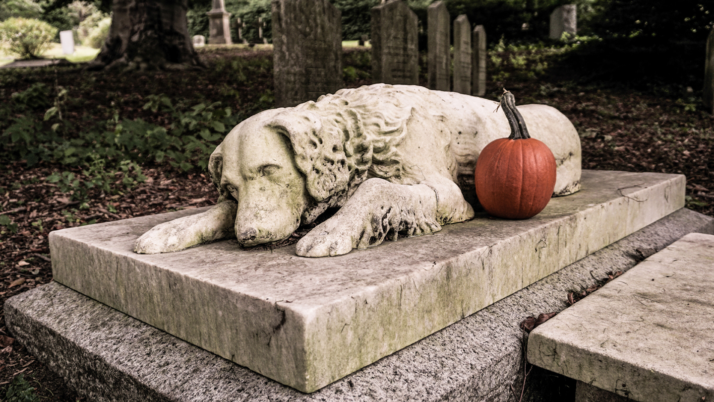 dog-memorial