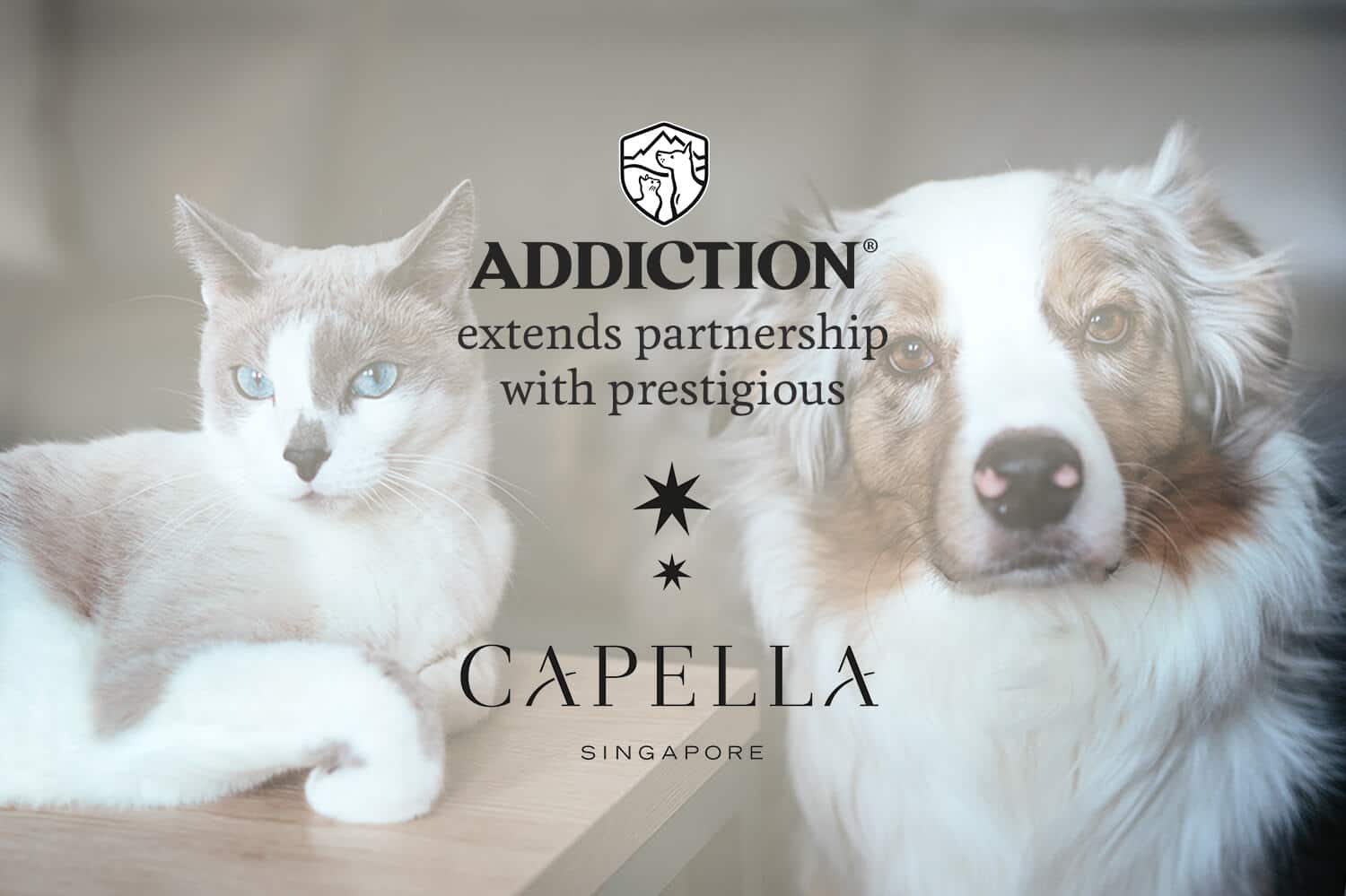 capella banner 01