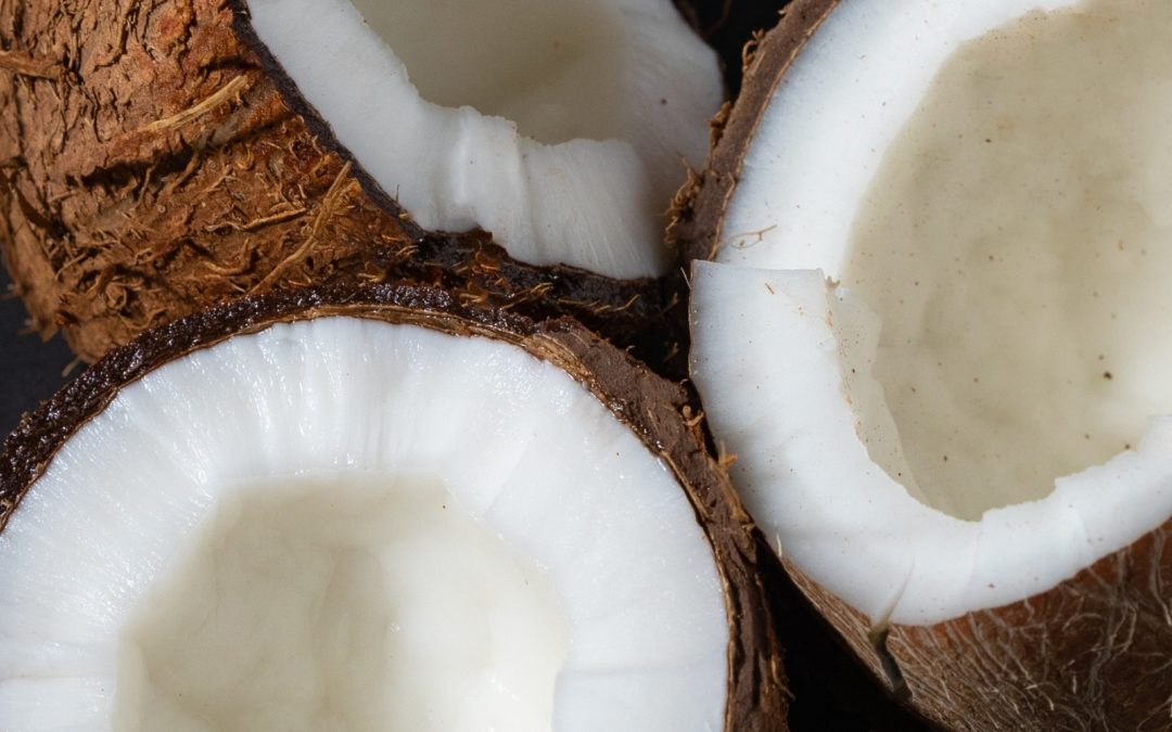 Should you include Coconut oil in your pet’s diet?