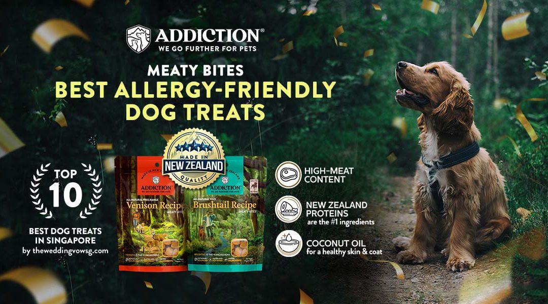 Addiction Meaty Bites takes the lead as the best allergy-friendly dog treats in Singapore