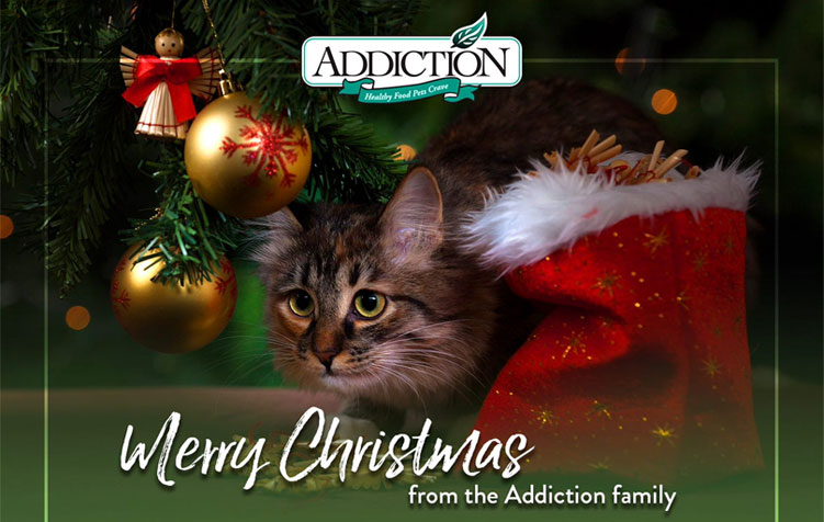 Season’s Greetings from Addiction Foods