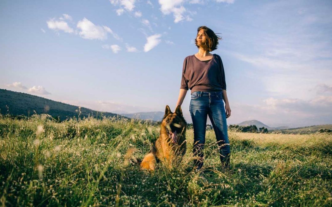 Understanding Overnutrition Among Dogs: A Modern-Day Crisis