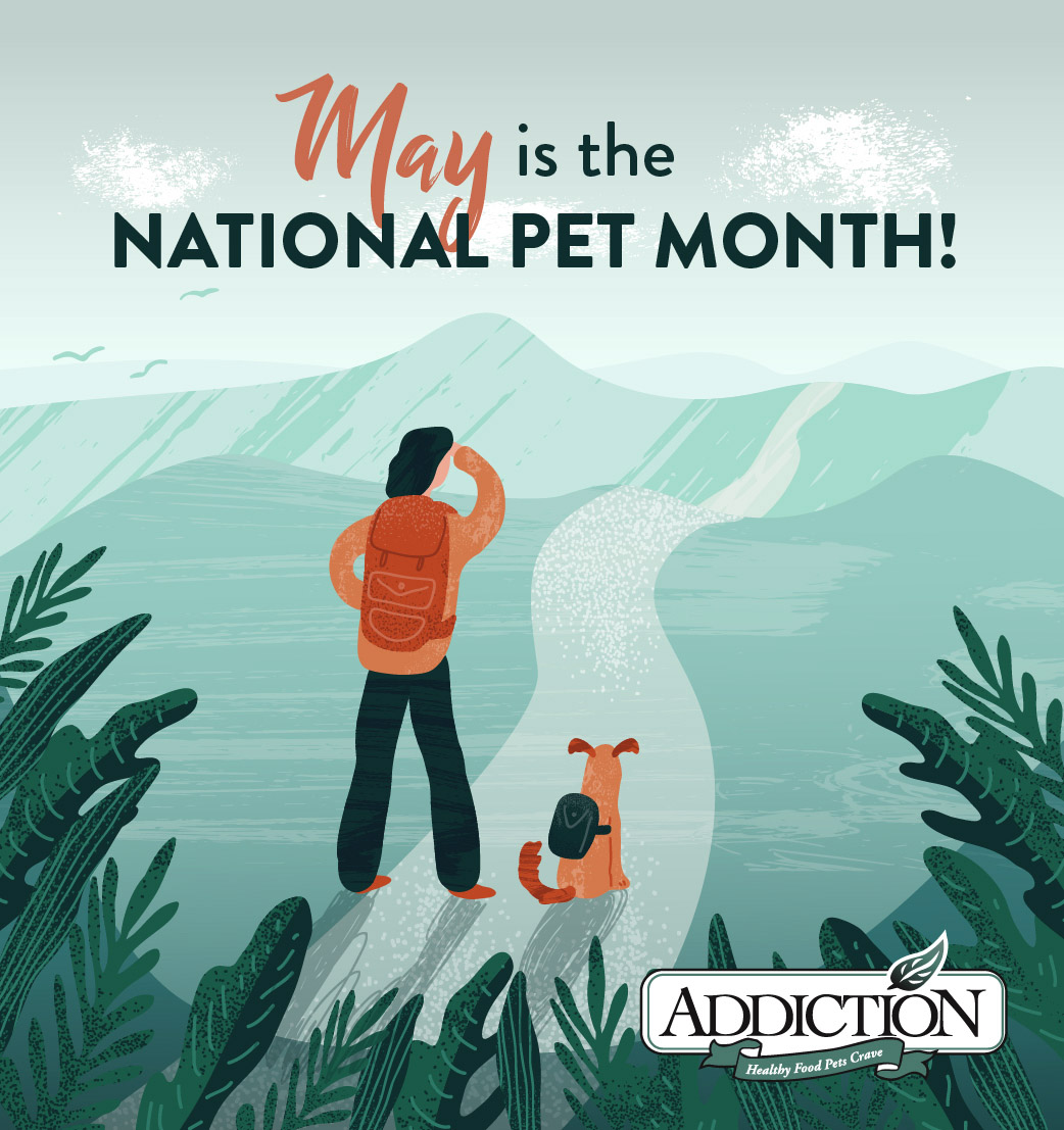 May is the National Pet Month! Addiction Pet