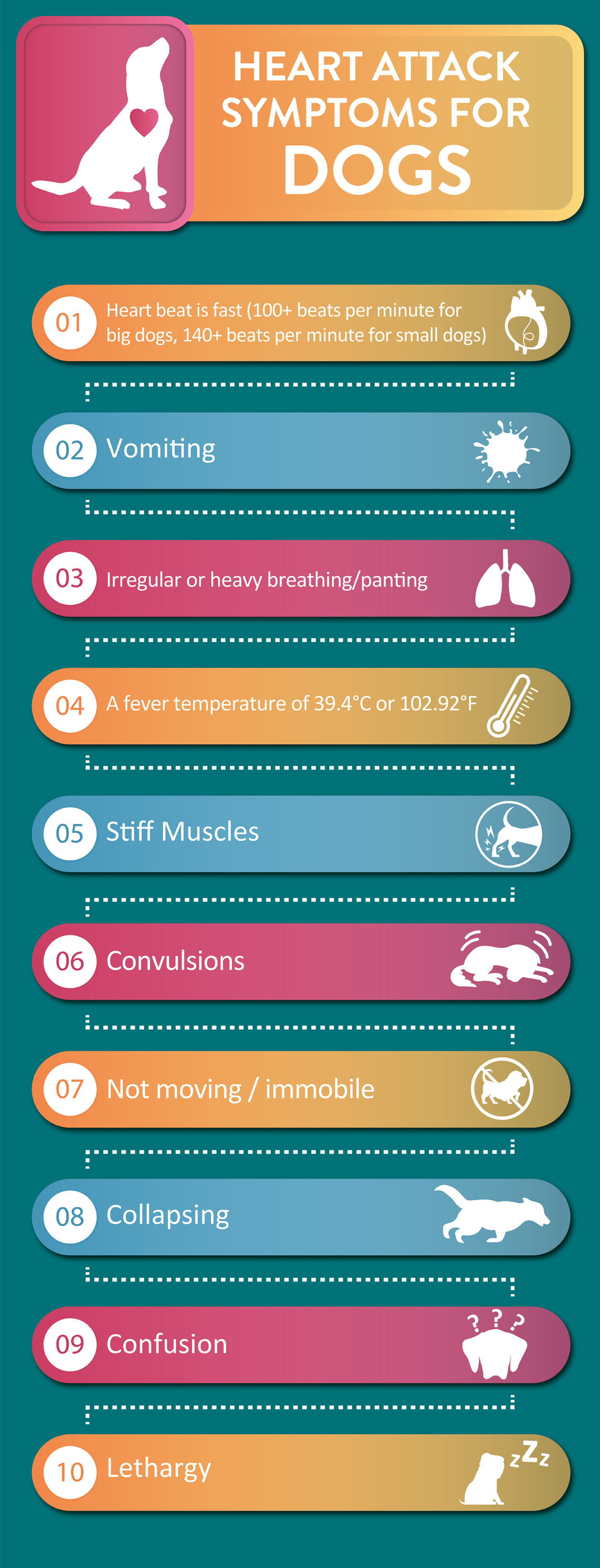 know-when-your-dog-is-having-a-heart-attack-addiction-pet