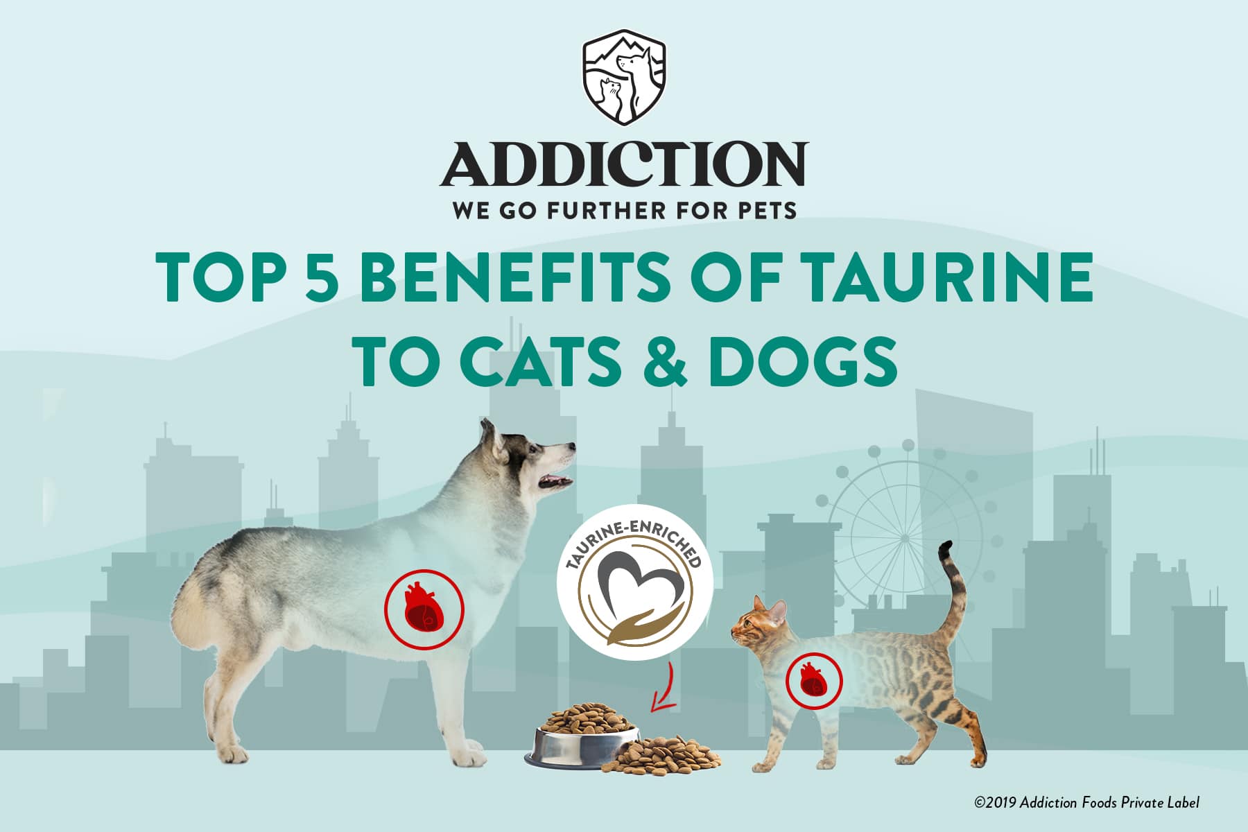 how much taurine for dogs