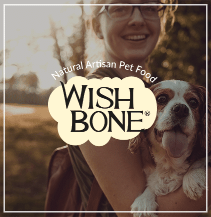 08 brand wishbone update