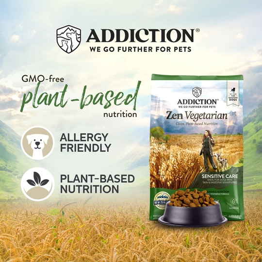 Zen Vegetarian Dog Food | Addiction Pet